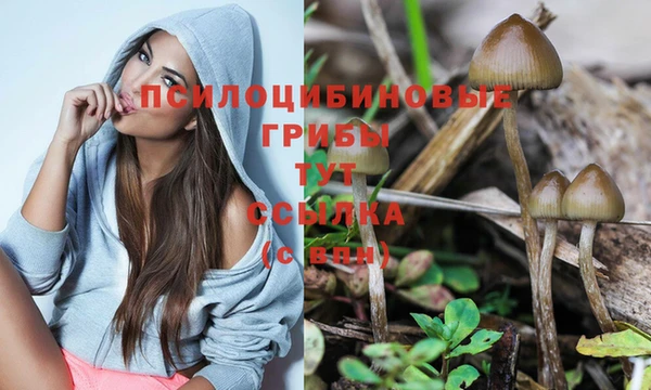 МДПВ Аркадак